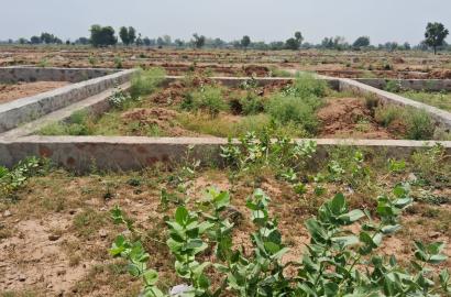 Plot for Sale in Vikas Nagar, Burja, Rajgarh Road, Alwar