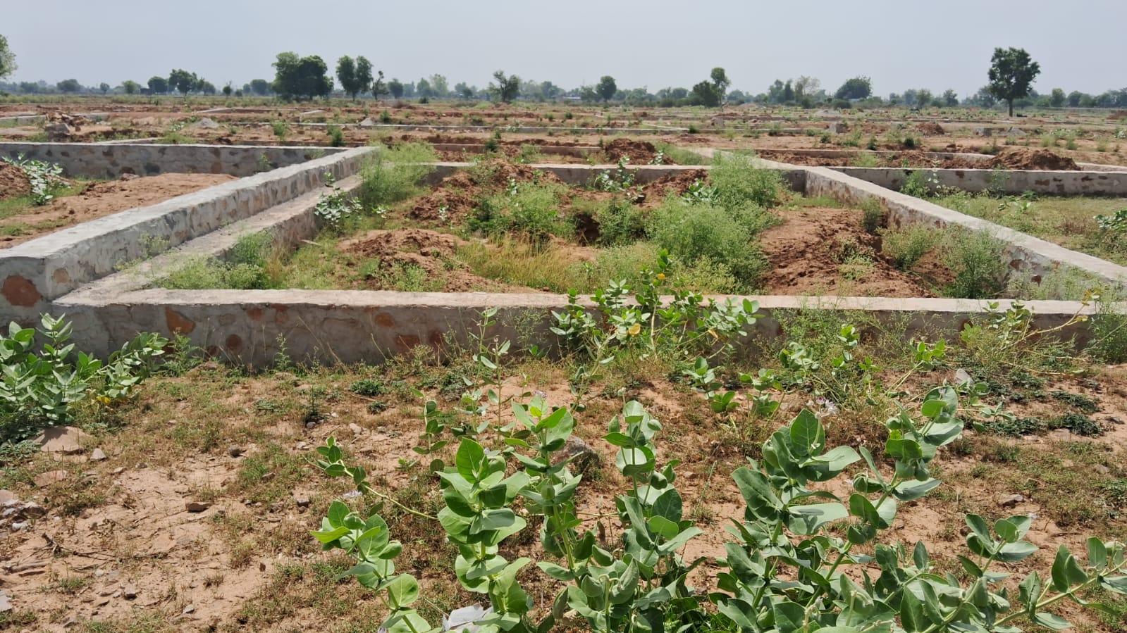 Plot for Sale in Vikas Nagar, Burja, Rajgarh Road, Alwar