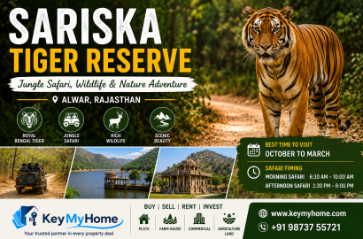 Sariska Tiger Reserve Alwar: Royal Bengal Tigers, Jungle Safari Aur Prakriti Ka Anokha Anubhav