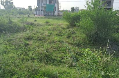 Premium Plot for Sale in Shalimar Nagar D-Block, Alwar