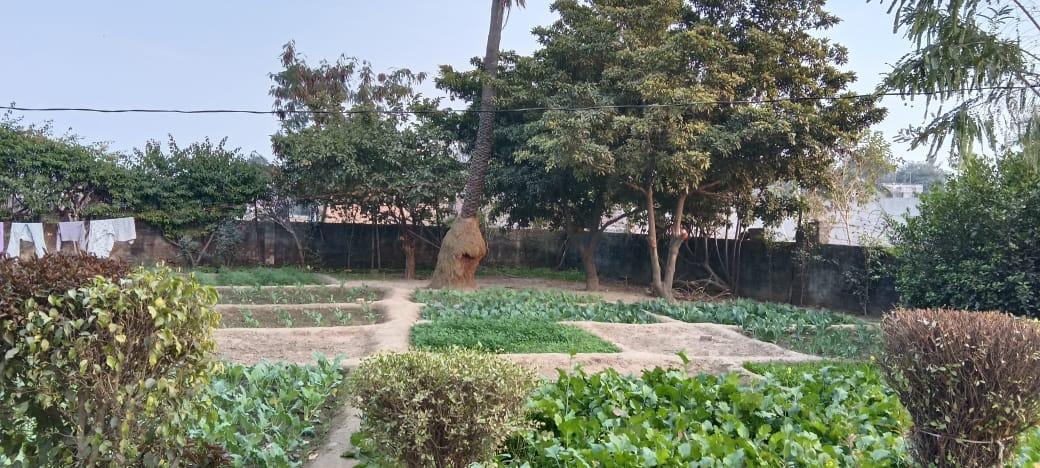 Farmhouse Plot for Sale in Anangpur, Faridabad